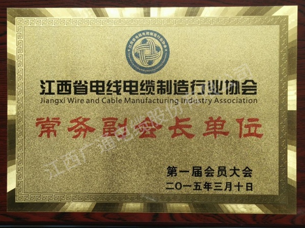 常務(wù)副會(huì)長單位