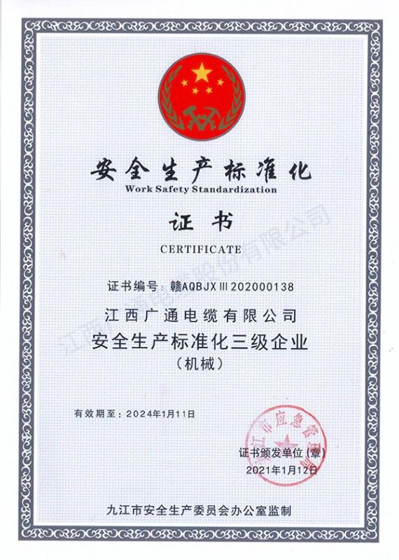 安全生產(chǎn)標(biāo)準(zhǔn)化