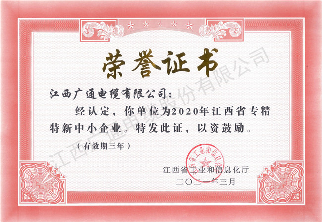 2020專(zhuān)精特新中小企業(yè)