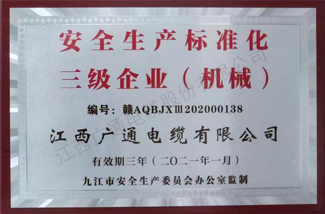 安全生產(chǎn)標(biāo)準(zhǔn)三級(jí)企業(yè)